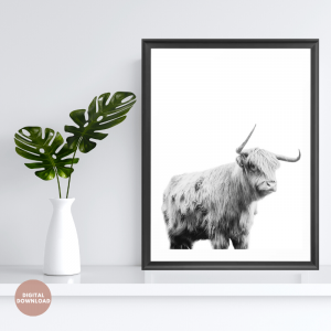 Highland-Cow-Digital-Prints