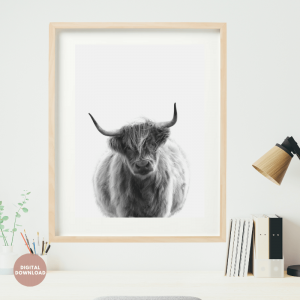 nordic-highland-cow-art-print