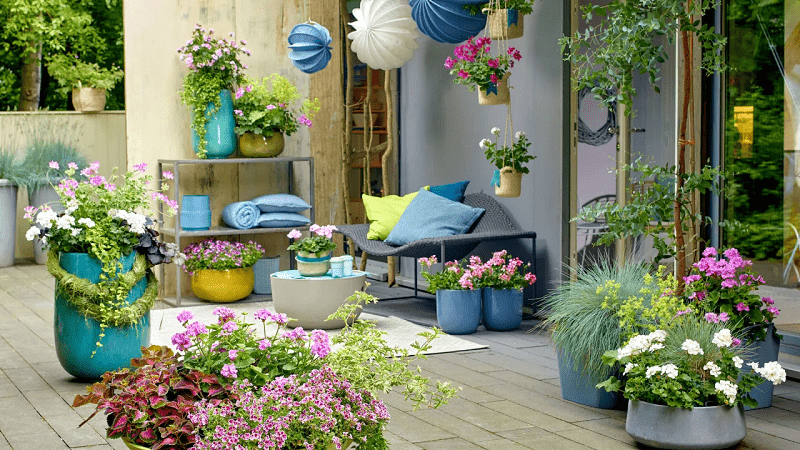 Tips-To-Get-Your-Patio-Ready-For-Summer-with-plants-on-a-budget
