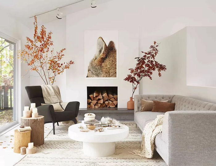 5-elements-of-Feng-Shui-Principles-for-Harmonious-Home-Decor-living-room