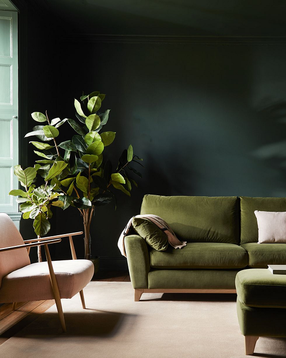 Fiddle-Leaf-Fig-A-tall-fiddle-leaf-fig-adding-greenery-to-the-living-room