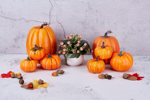 Decorative-pumpkins-for-autumn-decor