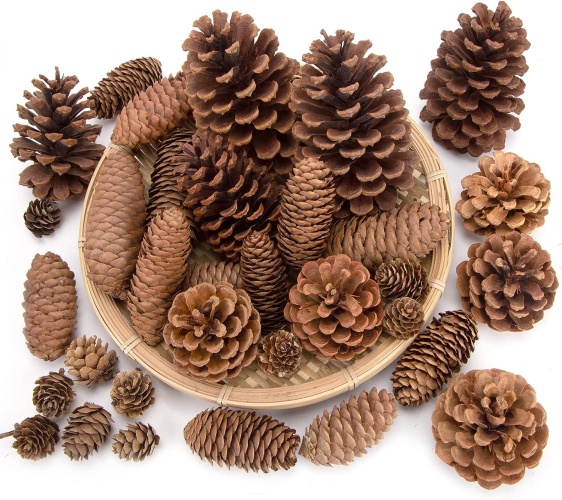 Pine-Cones-Natural-Assortment-for-Fall-Winter-Christmas-Bowl-Fillers