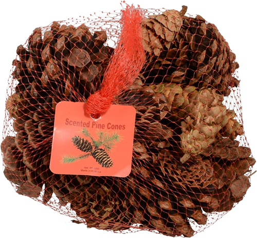 Cinnamon-Scented-Pine-Cones-for-Christmas-tree