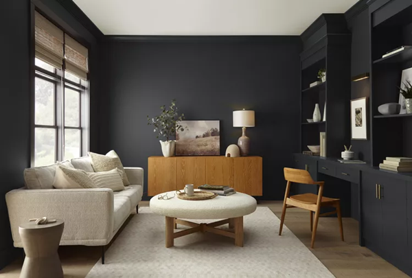 all-black-paint-wall-living-room-with-light-furniture-pieces